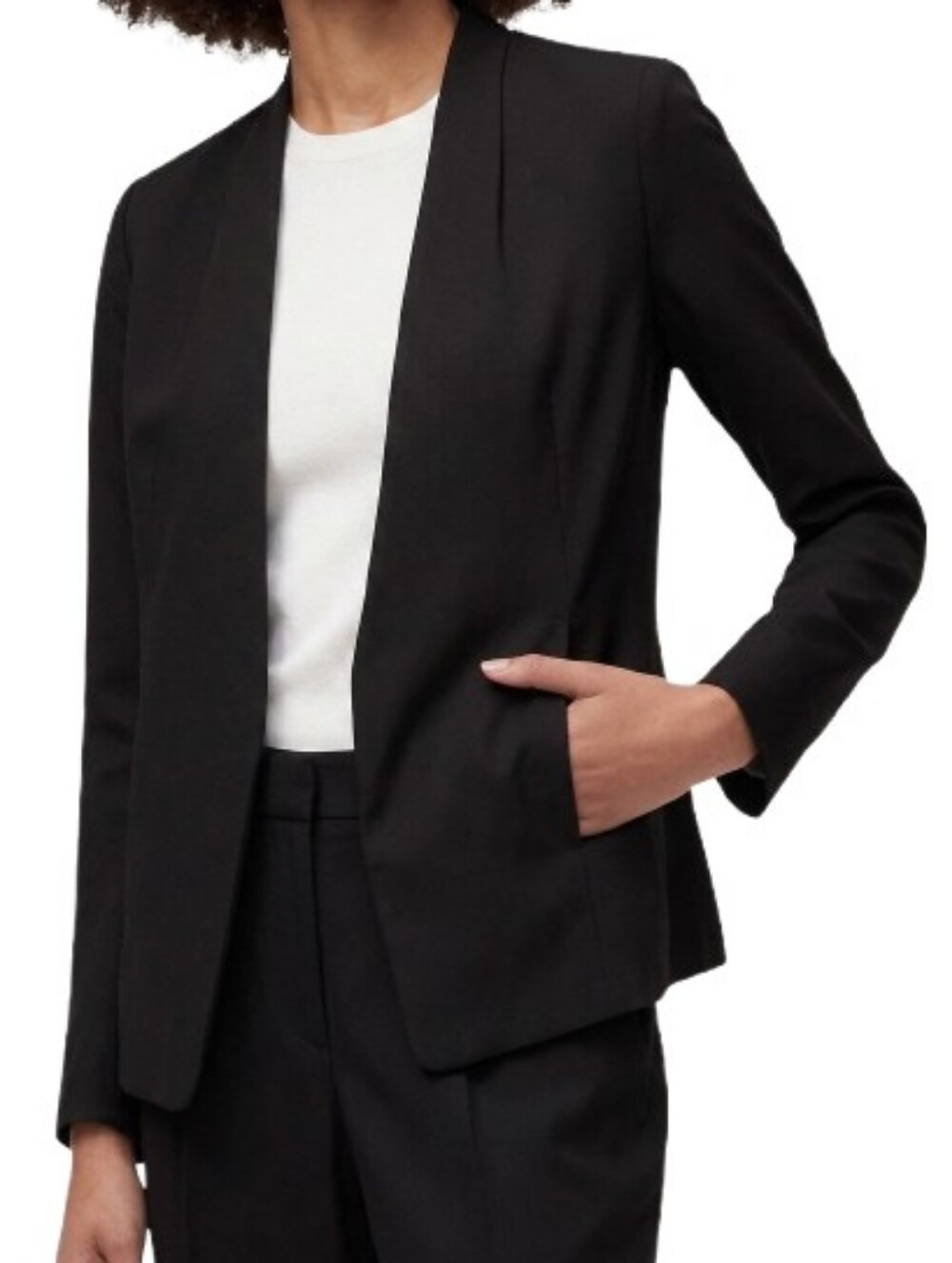 Aritzia BABATON Keith Blazer